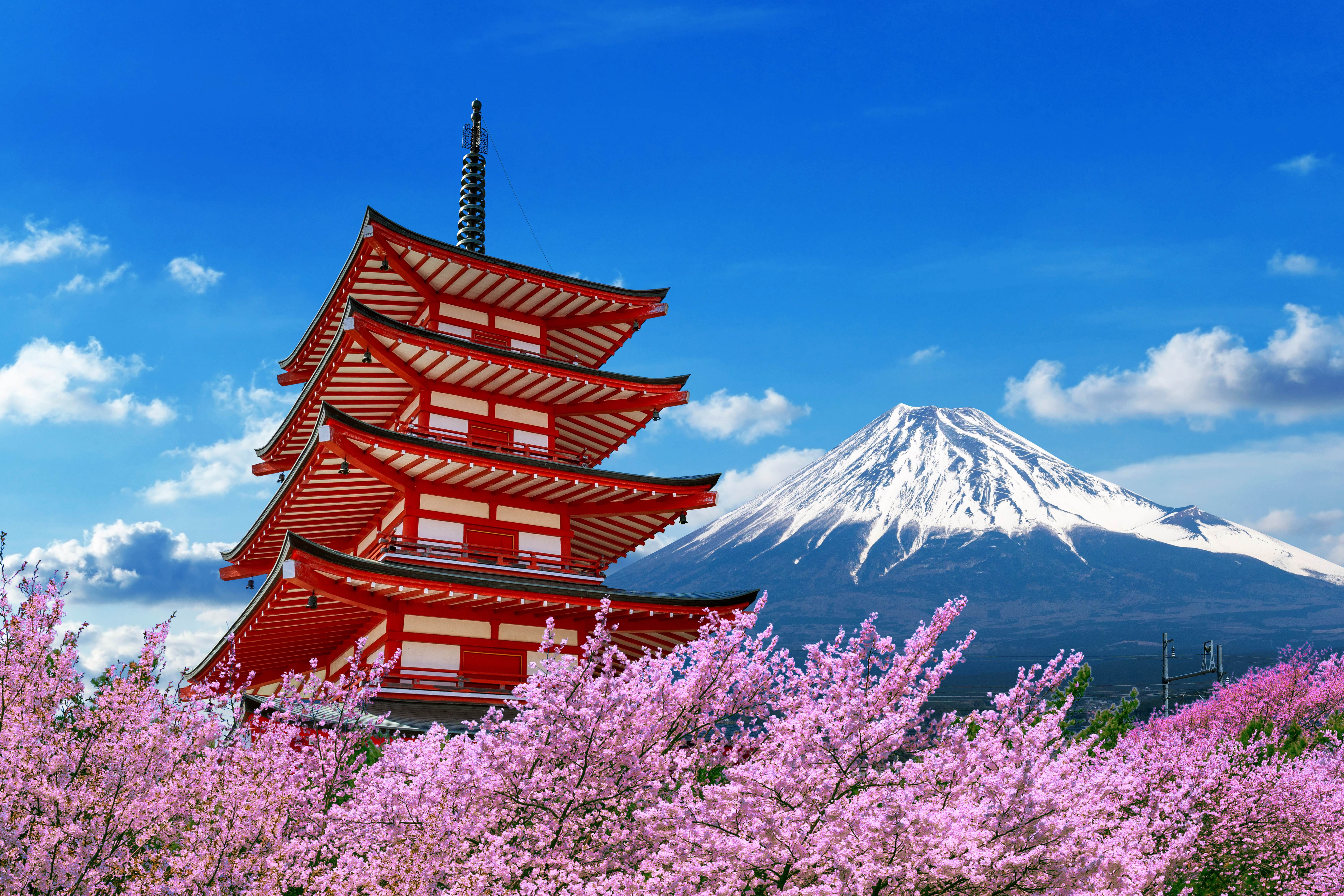 Solo Travel in Japan